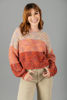 Imagen de Sweater Color Block Cuello Redondo