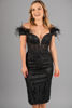 Imagen de Vestido Off Shoulder, Detalle Plumas     (Exclusivo Pagina)