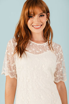 Imagen de Vestido Trasparente Con Bordado   (Exclusivo Pagina)