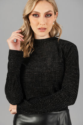 Imagen de Blusa Cuello Alto Brillo     (Exclusiva Pagina)