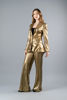 Imagen de Set Pantalon Y Blazer Metalico