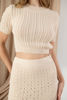 Imagen de Set Falda Crop Top Tejido    ( Exclusivo Pagina)