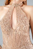 Imagen de Maxi Dress Lentejuelas Halter