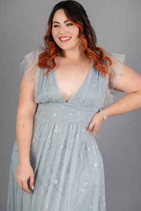 Imagen de Maxi Dress Tull Brillo Cuello V Profundo.  (Exclusivo  Pagina)