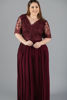 Imagen de Maxi Dress Blusa Encaje Falda Plisada, Manga Corta   (Exclusivo Pagina)