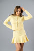 Imagen de Mini Falda Paletones