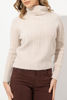 Imagen de Sweater Cuello Alto