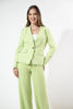 Imagen de Blazer un Boton Dorado