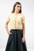 Imagen de Falda Paletones Print Lunares