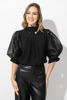 Imagen de Blusa Cuello Alto Con Prendedor Perla