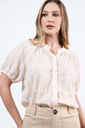 Imagen de Blusa  Cuello Chino Con Bordado Manga Corta
